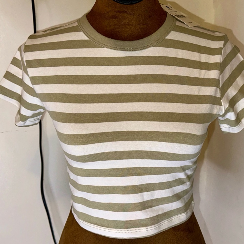 Cotton On Olive and White Striped Crop Top